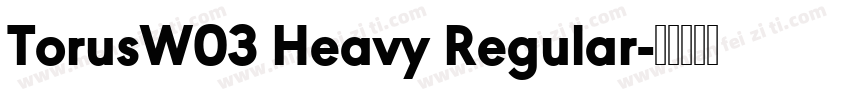TorusW03 Heavy Regular字体转换